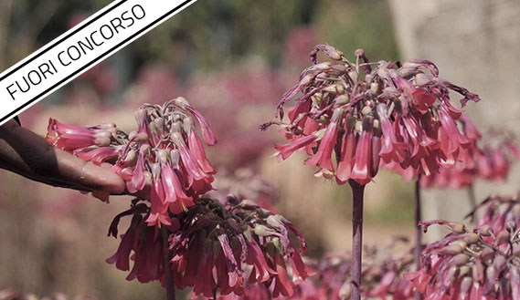 Fotogramma da Histoire de Stéphanie